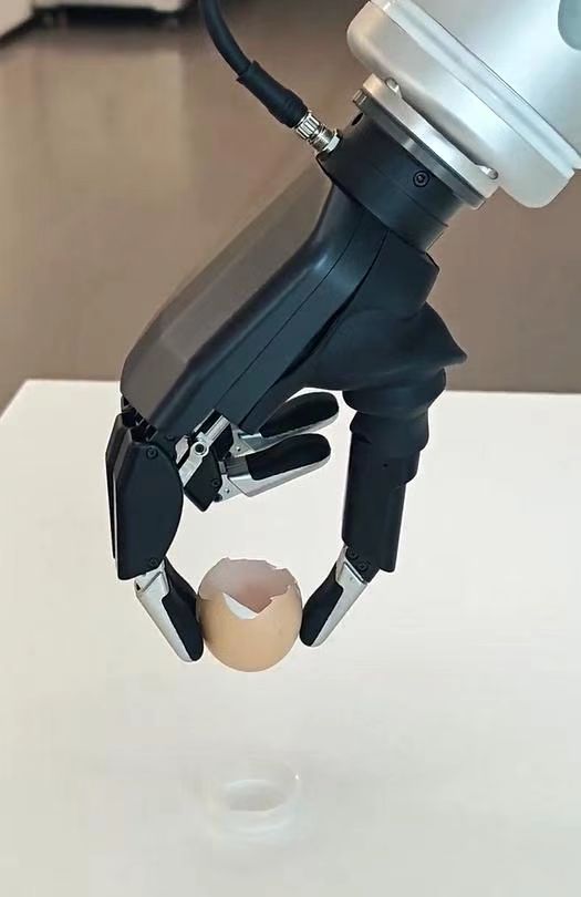 微信图片_20260119122919_668_2.jpg